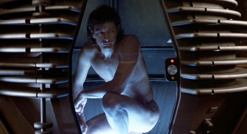 Still image from The Fly.